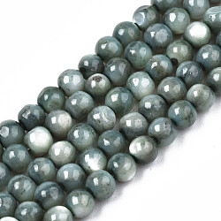 Natural Freshwater Shell Beads Strands, Dyed, Round, Cadet Blue, 4mm, Hole: 0.8mm, about 97~99pcs/strand, 14.88 inch~15.16 inch(37.8~38.5cm)(SHEL-N003-24-B01)