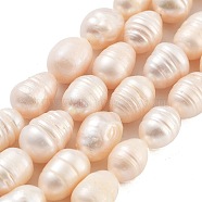 Natural Cultured Freshwater Pearl Beads Strands, Grade AB, Rice, PeachPuff, 8~9mm, Hole: 0.7mm, about 18pcs/strand, 6.69''(17cm)(PEAR-P062-14A)