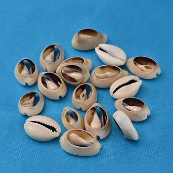 Natural Cowrie Shell Beads, Seashell Color, Size: about 16~18mm long, 12~13mm wide, 5~7mm thick