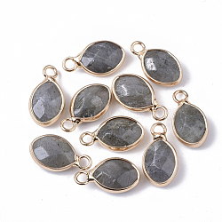 Natural Labradorite Pendants, with Golden Tone Brass Open Back Bezel, Faceted, Teardrop, 17x9x5mm, Hole: 2mm(G-S359-014A)