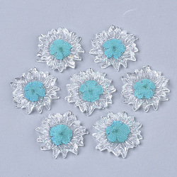 Transparent Clear Epoxy Resin Cabochons, with Dried Flower Inside, Flower, Dark Turquoise, 32~35x6mm(CRES-N025-02D)