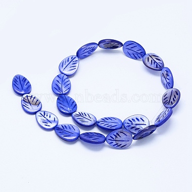 Dyed Natural Shell Beads Strands(BSHE-F002-01)-2