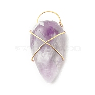 Natural Amethyst Pendants, with Real 18K Gold Plated Eco-Friendly Copper Wire Wrapped, Teardrop, 32.5x16x8mm, Hole: 4x8mm(PALLOY-JF01357)