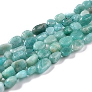 Natural Amazonite Beads Strands, Nuggets, Tumbled Stone, 5~8.5x5.5~7x3.5~4mm, Hole: 0.7mm, about 57pcs/strand, 15.2 inch(38.6cm)(G-G018-52)