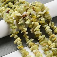 Natural Lemon Jade Chip Bead Strands, 5~8x5~8mm, Hole: 1mm, about 31.5 inch(G-M205-22)