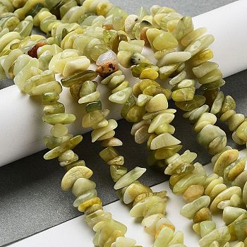 Natural Lemon Jade Chip Bead Strands, 5~8x5~8mm, Hole: 1mm, about 31.5 inch