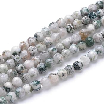 Natural Tree Agate Bead Strands, Round, 4mm, Hole: 0.5mm, about 106pcs/strand, 15.7 inch