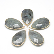 Natural Labradorite Big Pendants, with Brass Findings, Faceted, teardrop, Golden, 53~55x31x10.5mm, Hole: 2mm(G-Q494-51A)