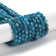 Natural Apatite Beads Strands, Faceted, Round, 4.5~5mm, Hole: 0.7mm, about 78pcs/strand, 15.16 inch(38.5cm)(G-J400-E01-02)