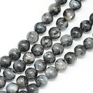 Natural Larvikite Beads Strands, Round, 6mm, Hole: 1mm, about 65pcs/strand, 15.7 inch(G-R345-6mm-33)