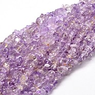 Natural Ametrine Chip Beads Strands, 4~15x5~8mm, Hole: 1mm, about 31.5 inch(G-E271-60)