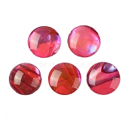 Natural Abalone Shell/Paua Shell Resin Cabochons, Half Round/Dome, Cerise, 8x1mm(SSHEL-K003-8MM-01)