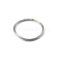 Anodized Aluminum Wire, Bendable Metal Craft Wire, Round, for DIY Jewelry Craft Making, Silver, 12 Gauge, 2mm, 5M/roll(MCOR-PW0001-01F-17)