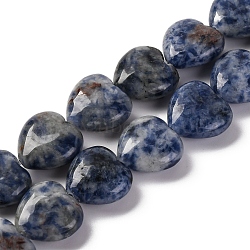 Natural Blue Spot Jasper Beads Strands, Heart, 14~14.5x13.5~14x6~6.5mm, Hole: 1mm, about 28pcs/strand, 15.16''(38.5cm)(G-I372-A13-02)