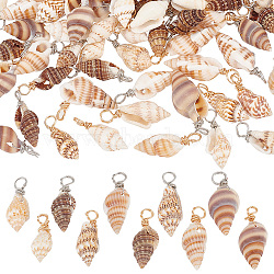 100Pcs 10 Styles Natural Shell Pendants, Copper Wire Wrapped Shell Shape Charms, Platinum & Golden, 11~20x5.5~10x5~9mm, Hole: 3mm, 10pcs/style(PALLOY-AB00159)