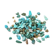 Synthetic Turquoise Chip Beads, No Hole, 2~8x2~4mm, about 8500pcs/500g(G-O103-04-01)