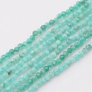Natural Amazonite Beads Strands, Round, Faceted, 2mm, Hole: 0.8mm, about 217pcs/strand, 15.75 inch(G-K127-02F-2mm)