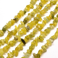 Natural Jade Chip Bead Strands, 5~8x5~8mm, Hole: 1mm, about 31.5 inch(X-G-M205-30)