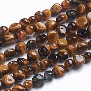 Natural Yellow Tiger Eye Beads Strands, Tumbled Stone, Nuggets, 9~11x8~9x5~10mm, Hole: 0.8mm, about 45pcs/strand, 15.75 inch(40cm)(G-G841-A04)