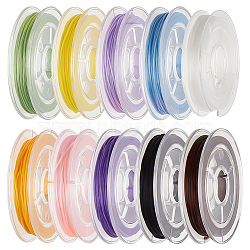 10 Rolls 10 Colors Flat Elastic Crystal String, Elastic Beading Thread, for Stretch Bracelet Making, Mixed Color, 0.8mm, about 10.93 yards(10m)/roll, 1 roll/color(EW-BBC0001-01)