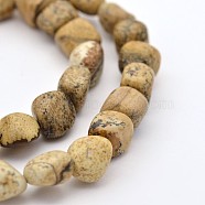 Natural Picture Jasper Bead Strands, Tumbled Stone, 5~7X5~7mm, Hole: 1mm, about 15.7 inch(X-G-P070-19)