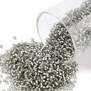 TOHO Round Seed Beads, Japanese Seed Beads, (29BF) Silver Lined Frost Gray, 15/0, 1.5mm, Hole: 0.7mm, about 3000pcs/10g(X-SEED-TR15-0029BF)