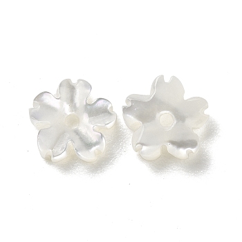 Natural White Shell Beads, Flower, 5.5~6x6x1~2mm, Hole: 0.9mm
