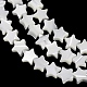 Natural Trochid Shell/Trochus Shell Beads Strands(SH-CBA2978-17A)-3