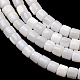 Natural Freshwater Shell Beads Strands(SH-CBA2978-21C)-2