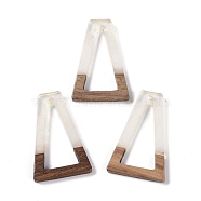 Resin & Wood Pendants, Hollow Triangle Charms, White, 38x24.5x3.5mm, Hole: 2mm(WOOD-F015-10D)