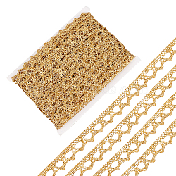 Metallic Lace Trim, Craft Ribbon for Bridal Costume Crafts and Sewing, Gold, 3/8 inch(9~10mm), about 20 Yards/card(MCOR-WH0003-03D)