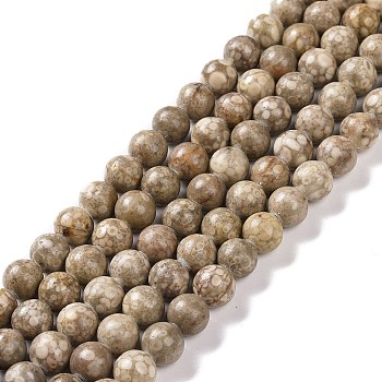 Natural Maifanite/Maifan Stone Beads Strands, Round, 8mm, Hole: 1mm, about 46pcs/strand, 15.3 inch(39cm)