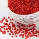 12/0 Glass Seed Beads(SSDB25)-1