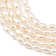 brins de perles de culture d'eau douce naturelles(PEAR-F020-17)-4
