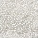 6/0 Transparent Glass Seed Beads(SEED-F003-03A-07)-3