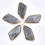 Natural Labradorite Pendants, with Brass Findings, Faceted, Golden, 43~47x22x6~7mm, Hole: 2mm(G-T112-20B)
