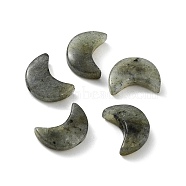 Natural Labradorite Beads, Half Moon, 16x11~12x4~4.5mm, Hole: 1~1.2mm(G-NH0001-01D)