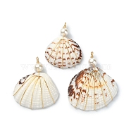 Natural Shell Copper Wire Wrapped Pendants, Shell Shaped Charms with Round Shell Pearl Beads, Light Gold, Coconut Brown, 34~42x26~33.5x7~8.5mm, Hole: 2.5~2.6mm(PALLOY-TA00078-03)