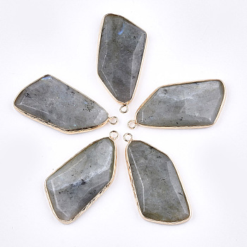 Natural Labradorite Pendants, with Brass Findings, Faceted, Golden, 43~47x22x6~7mm, Hole: 2mm