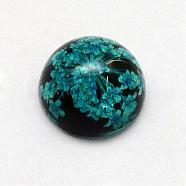 Resin Cabochons, Dome, Half Round, with Dried Flower inside, Teal, 11.5~12x6~6.5mm(RESI-S320-12mm-37)