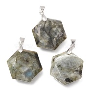 Faceted Natural Labradorite Pendants, with Platinum Tone Brass Findings, Hexagon, 28x25x9mm, Hole: 4x5mm(G-F340-03J)