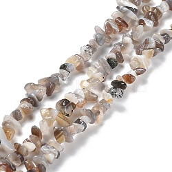Natural Botswana Agate Beads Strands, Chip, 5~15x5.5~6x2.5~4mm, Hole: 0.7mm, 30.31''~30.71''(77~78cm)(G-P497-03A-01)