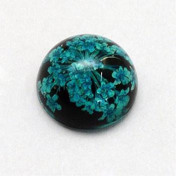Resin Cabochons, Dome, Half Round, with Dried Flower inside, Teal, 11.5~12x6~6.5mm