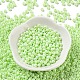 Baking Paint Glass Seed Beads(SEED-H002-I-A523)-2