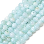Dyed Natural Freshwater Shell Beads Strands, Smooth Round, Light Blue, 3mm, Hole: 0.6mm, about 61~62pcs/strand, 7.01''~7.17''(17.8~18.2cm)(SH-CBA2978-07A-01)
