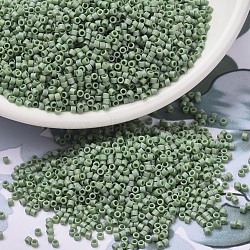 MIYUKI Delica Beads, Cylinder, Japanese Seed Beads, 11/0, (DB2310) Matte Opaque Glazed Pistachio AB, 1.3x1.6mm, Hole: 0.8mm, about 2000pcs/10g(X-SEED-J020-DB2310)