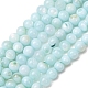 Dyed Natural Freshwater Shell Beads Strands(SH-CBA2978-07A-01)-1