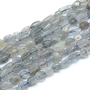 Natural Labradorite Beads Strands, Tumbled Stone, Nuggets, 5~12x6~7mm, Hole: 0.8mm, about 46~57pcs/strand, 15.16 inch(38.5cm)(G-L550A-06)