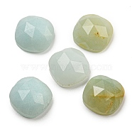 Natural Flower Amazonite Cabochons, Faceted Square, 8x8x4mm(G-M431-01M)