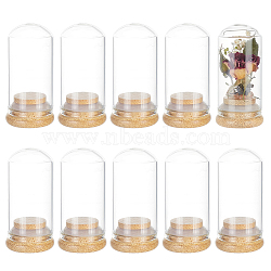 Glass Dome Cover, Decorative Display Case, Cloche Bell Jar Terrarium with Bamboo Base, for DIY Preserved Flower Gift, Clear, 32x66mm(DJEW-WH0034-77B)